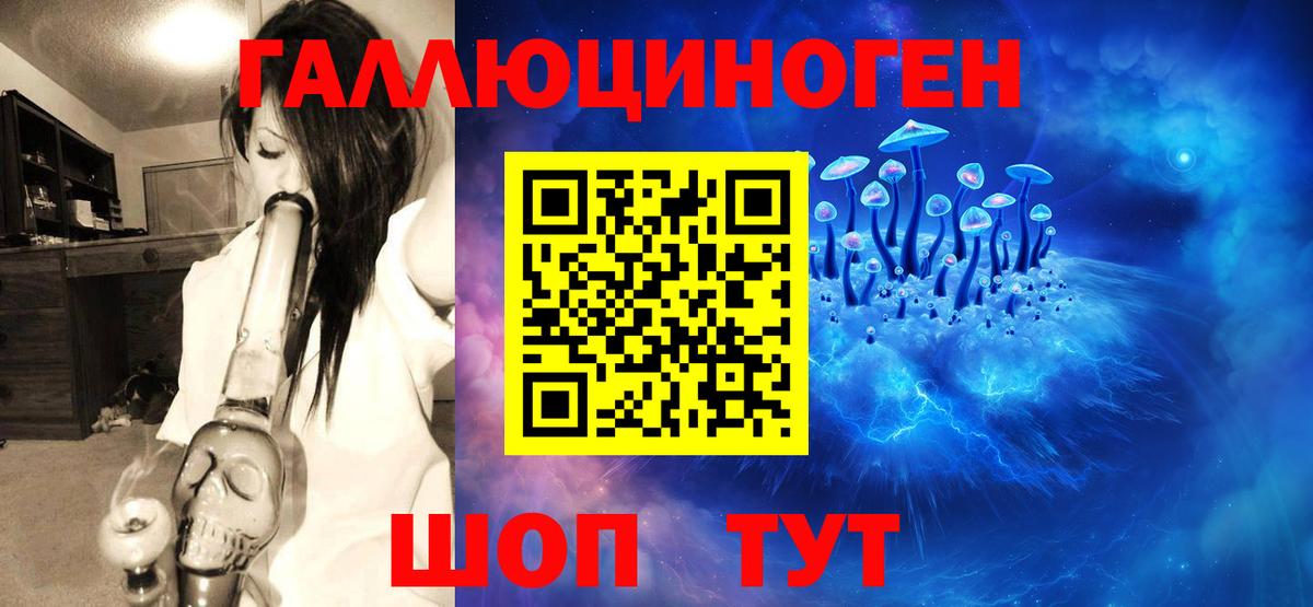 Галлюциногенные грибы мухоморы Коряжма