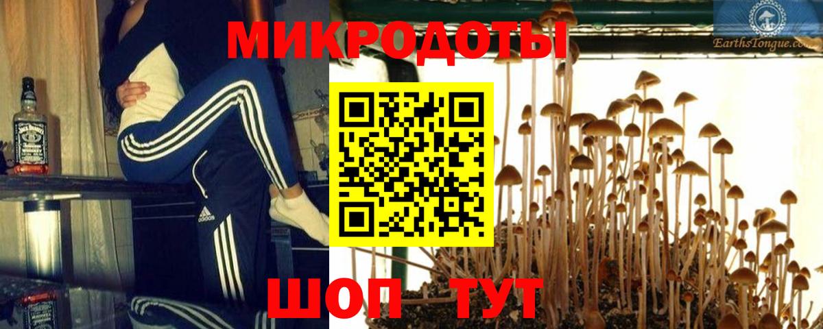 Галлюциногенные грибы Psilocybe  Вход с VPN  Галлюциногенные грибы мицелий  Коряжма 